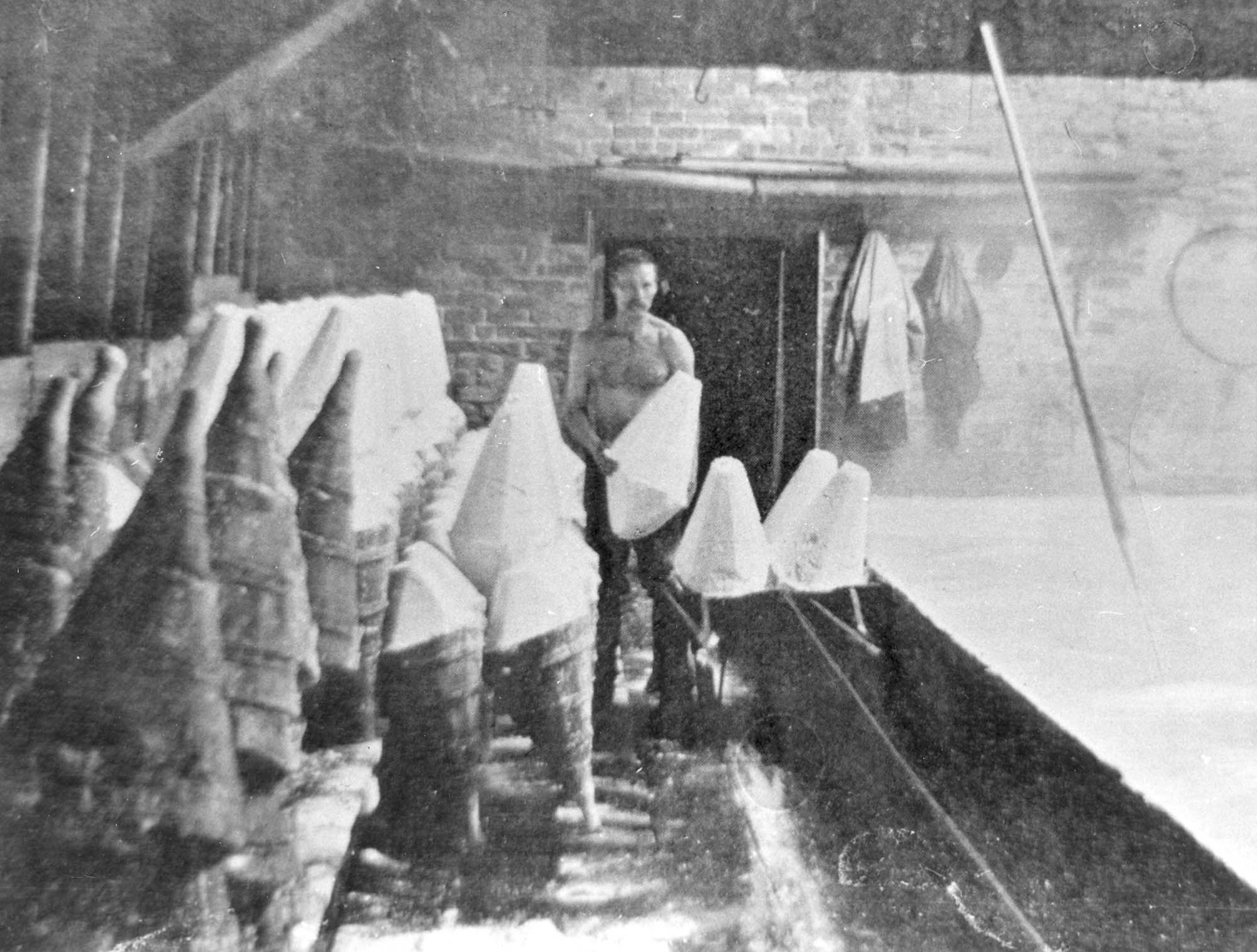 Vivid photos capture the ancient tradition of salt production at Lion