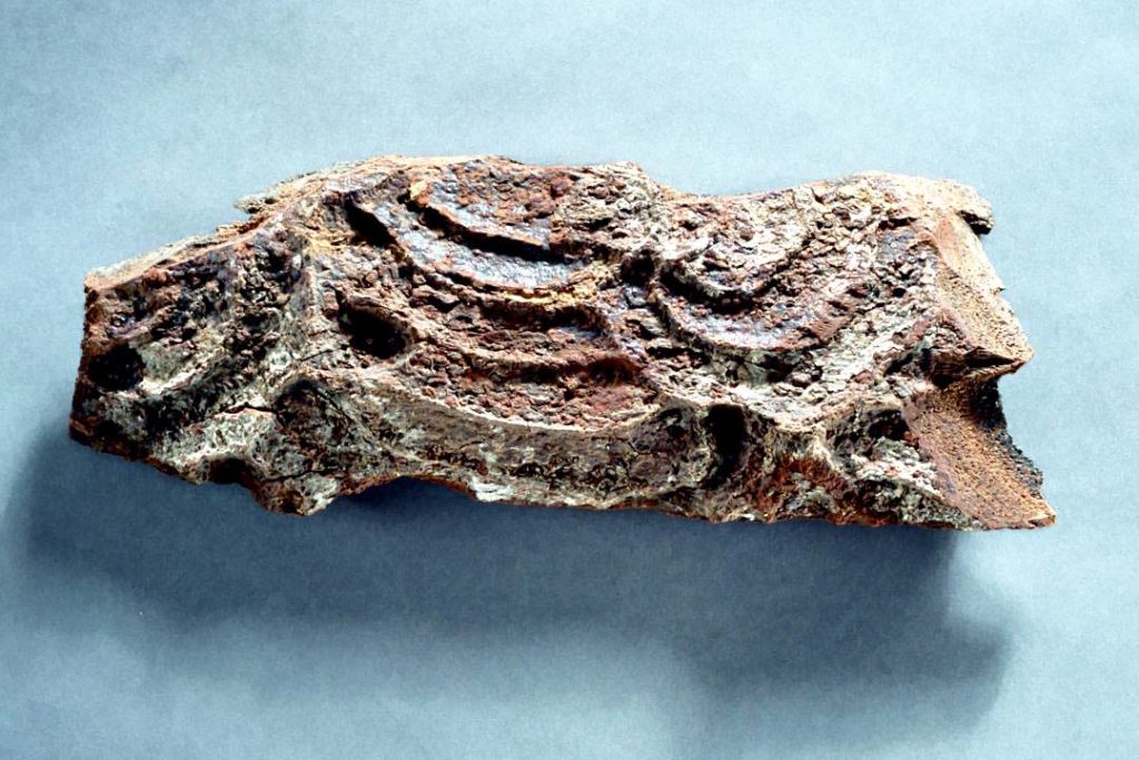 9 African treasures from Exeter’s World Cultures Gallery Museum Crush